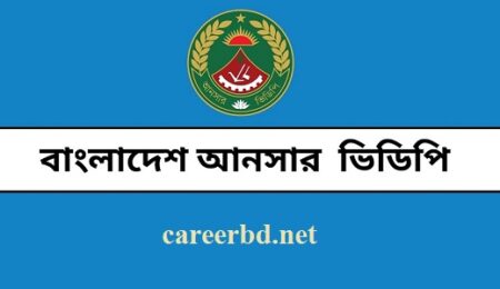 বাংলাদেশ আনসার ক্যারিয়ার
