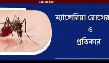 ম্যালেরিয়া রোগের লক্ষণ ও প্রতিকার