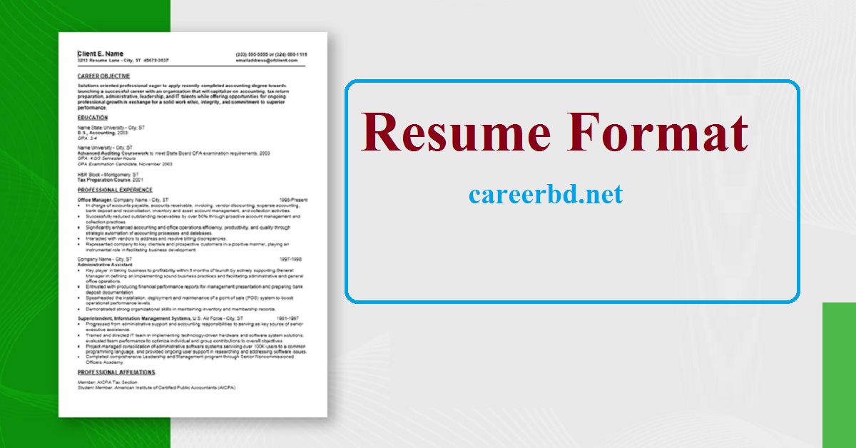 Resume format